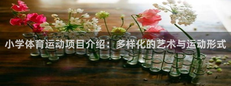 中欧体育集团