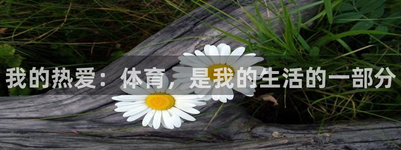 中欧体育客服