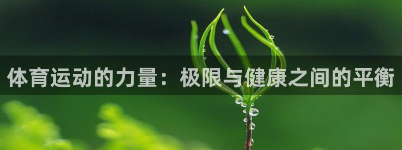 zoty中欧体育