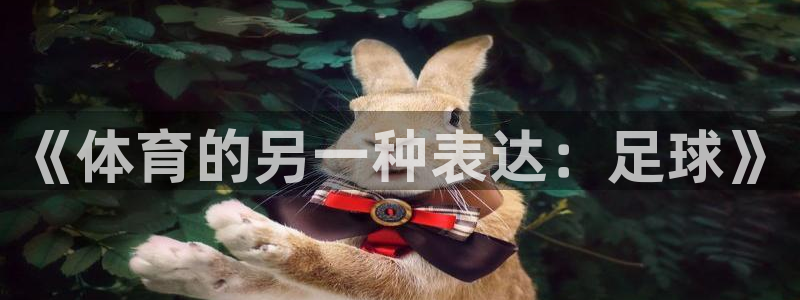 中欧体育平台