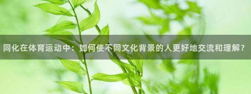 zyty中欧体育平台