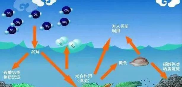 微信图片_20220922105517.png