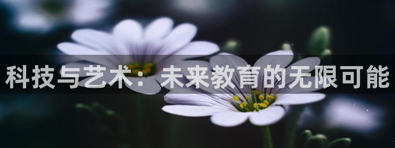 zoty中欧体育网址多少