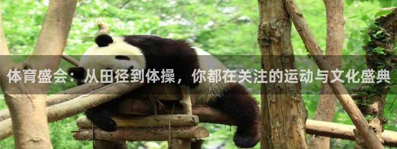 zoty中欧体育