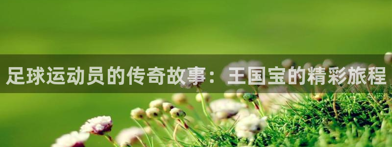 中欧体育下载