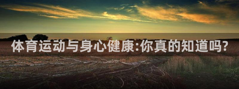 kok中欧体育登录