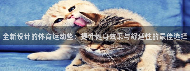 中欧体育
