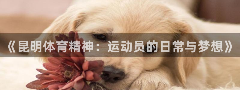 kok中欧体育登录