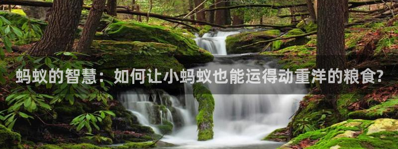 中欧体育zoty下载